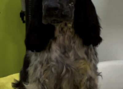 viberimage202603040730031851772882037