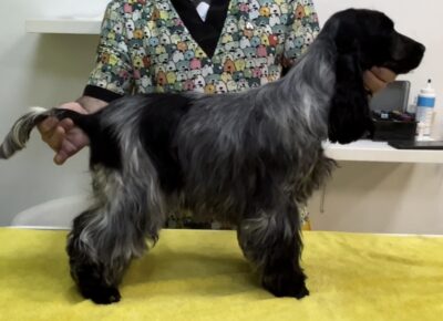 viberimage202603040730037561772882033