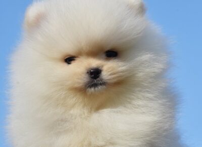 viberimage202603091145156541773243752