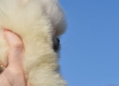 viberimage202603091145227701773243751