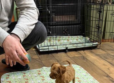 viberimage202603101915043451773504821