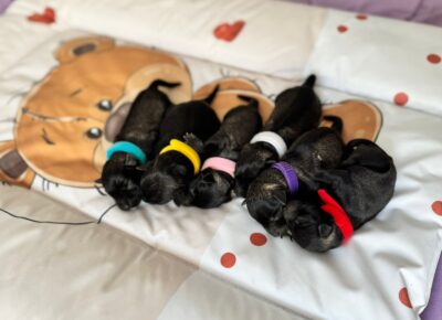 viberimage202603241604549121774653713