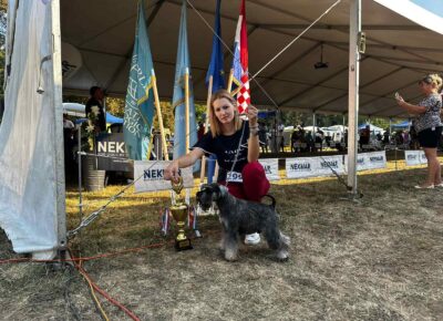 viberimage202603241604566231774653717