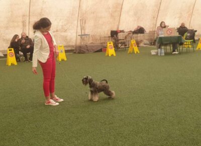 viberimage202603241604566561774653714