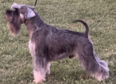 viberimage202603241604566721774653711