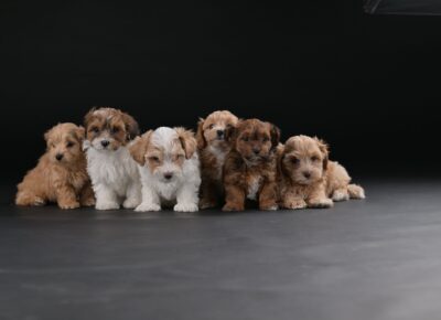 0d6dd8fff112b477694fb214e5ddb289a1776792940