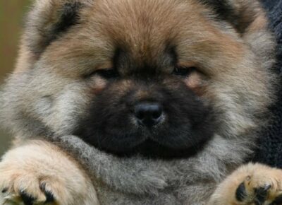 50fddf533713430db4847e97679b23b81775892548