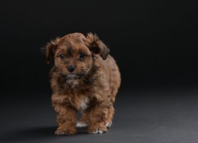 5d20fc7b1b0c450cbc59424b1a59a3481776792944