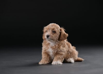 6c7109b9e5e54f77b55dd1336d5516031776792946