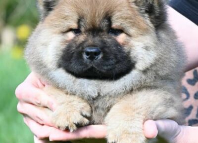 9e4ceca60de1424cbac7e508b203d45d1775892547