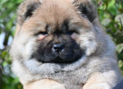 b6b3de39ad9e4a94be44ac316a13d9ac1775892547