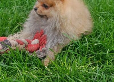 viberimage202604062257245311775668948