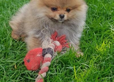 viberimage202604062257245421775668950