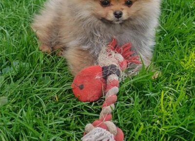 viberimage202604062257245541775668952