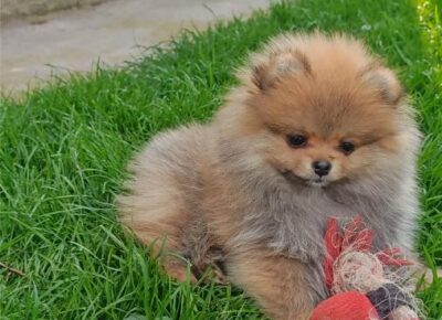 viberimage202604062257245661775668949