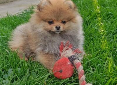 viberimage202604062257252441775668951