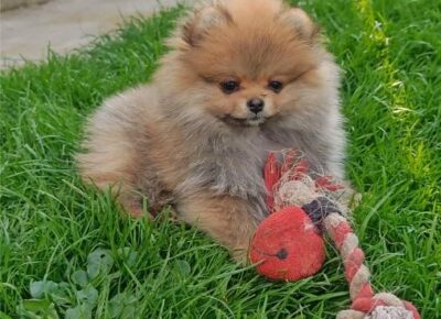 viberimage202604062257253001775668951