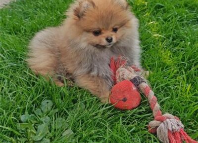 viberimage202604062257254001775668952