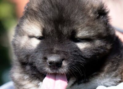 viberimage202604081149460151776197957