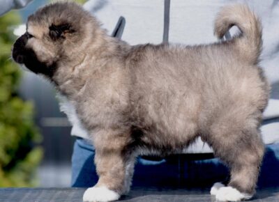 viberimage202604081149460641776197957