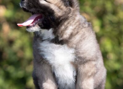 viberimage202604081149460941776197957