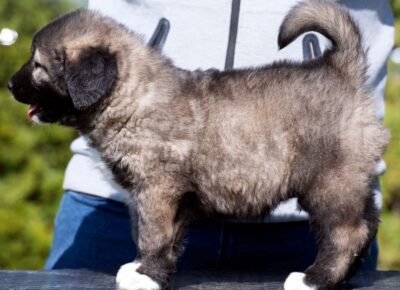 viberimage202604081149461181776197956