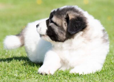 viberimage202604081149461341776197956