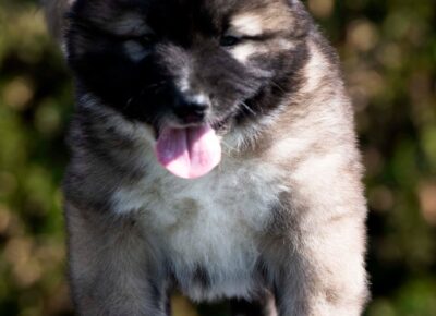 viberimage202604081149461861776197958