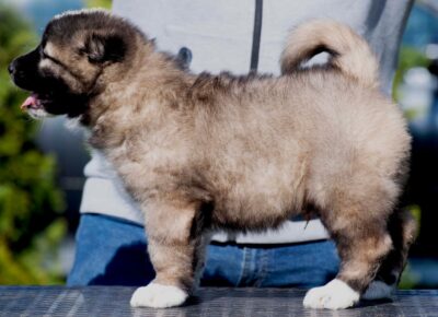 viberimage202604081149462511776197959