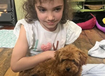 viberimage202604171014168081776458760