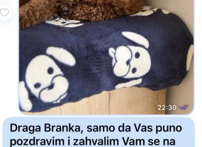 viberimage202604171014491061776458760