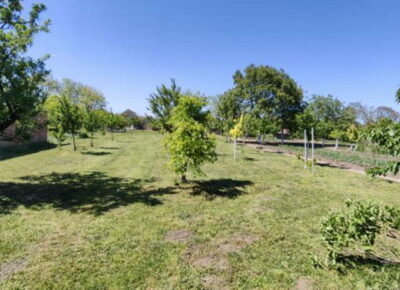 gračac51778239968