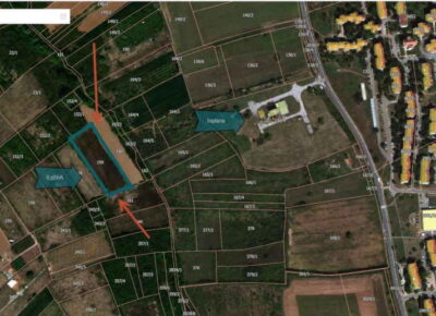plac11777825505