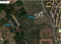 plac11777825505