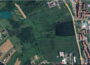 plac81777825508