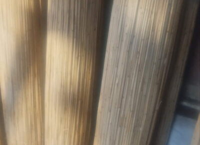 trska11778420829