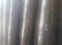 trska31778420831