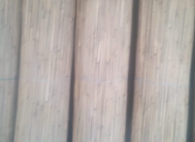 trska51778420830