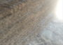 trska61778420830
