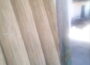trska71778420829