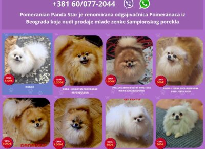 viberimage202606071600339311781131428