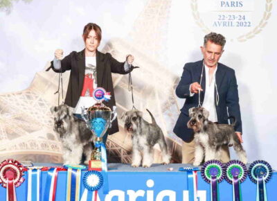 šnaucerded1782201884