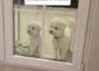 71785215597