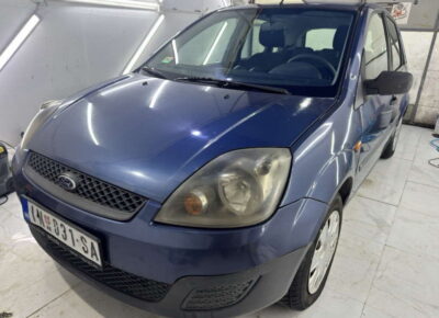 fiesta91783087802