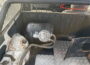 zastava21783195921