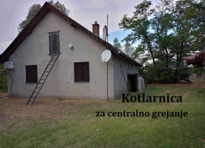 galus61788164842