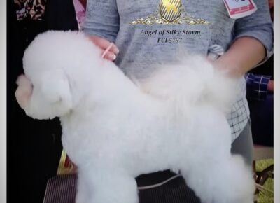 viberimage202608211018117721787602641