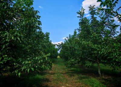 7f667832b11a48228877f4430c2beea91789497417